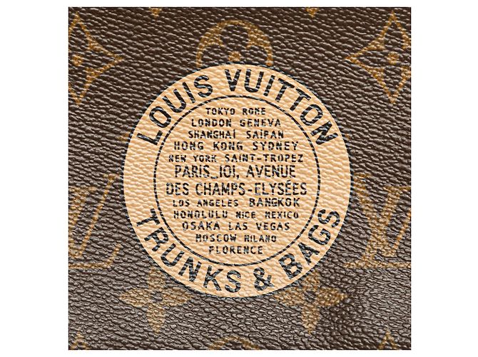 Bauletti e borse Louis Vuitton Monogram marrone Mini Pochette Accessoires - vista 8
