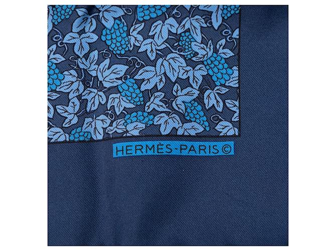 Foulard in seta Hermès blu Grape Vines - vista 3