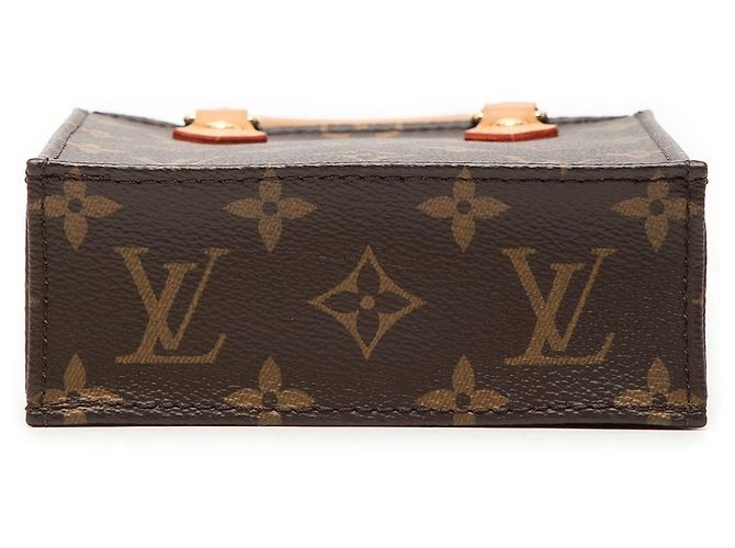 Borsa Louis Vuitton Monogram Petit Sac Plat marrone - vista 3