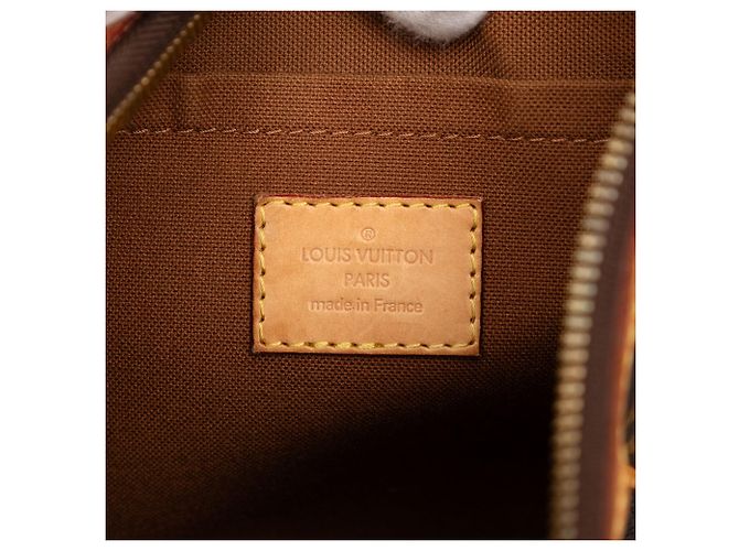 Borsa a tracolla Louis Vuitton Monogram Thames PM marrone - vista 5