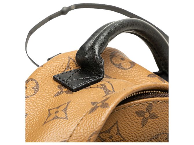 Mini zaino Palm Springs Louis Vuitton Monogram Reverse Marrone - vista 9