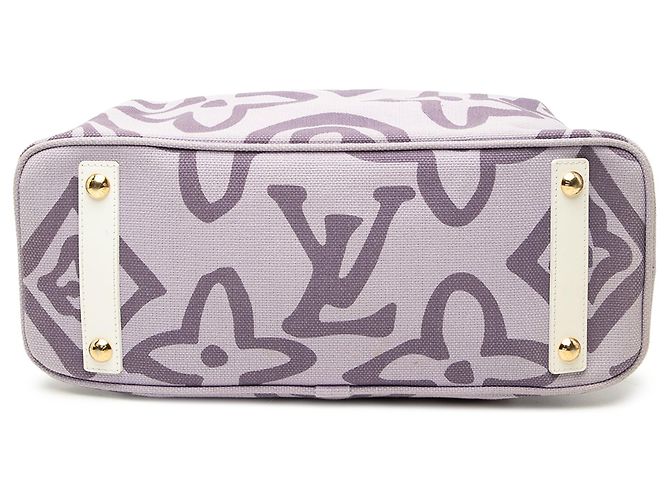 Borsa Tote Cabas PM Louis Vuitton Monogram Tahitienne Viola Porpora - vista 3