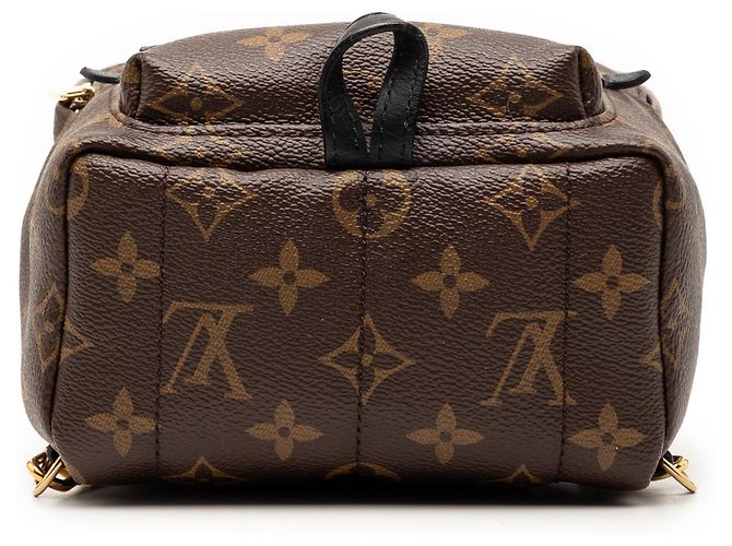 Zaino Mini Palm Springs Louis Vuitton Monogram Marrone - vista 3