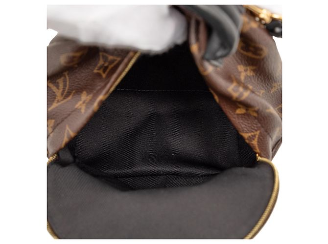 Zaino Mini Palm Springs Louis Vuitton Monogram Marrone - vista 4