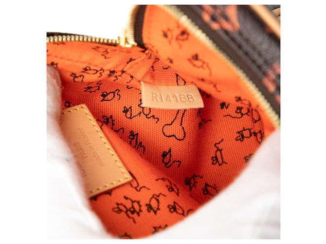 Borsa a tracolla Louis Vuitton Grace Coddington Catogram Paname PM Marrone - vista 6