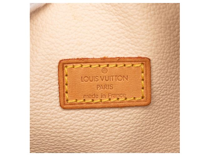Borsa Louis Vuitton Monogram Spontini marrone - vista 5