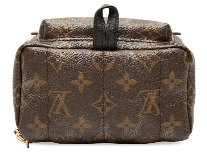 Zaino Louis Vuitton Monogram World Tour Mini Palm Springs marrone - vista 3