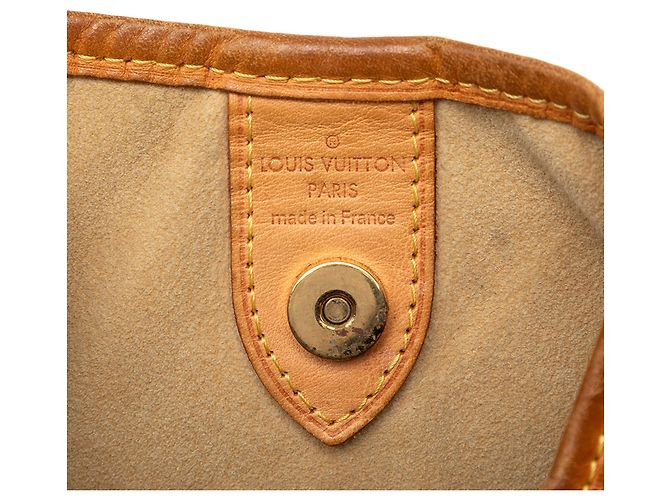 Borsa a tracolla Louis Vuitton Monogram Galliera PM marrone - vista 5