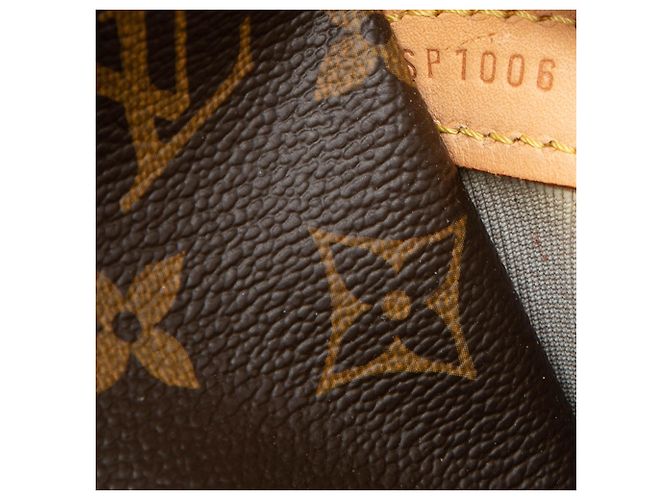 Borsa a tracolla Louis Vuitton Monogram Reporter GM marrone - vista 6