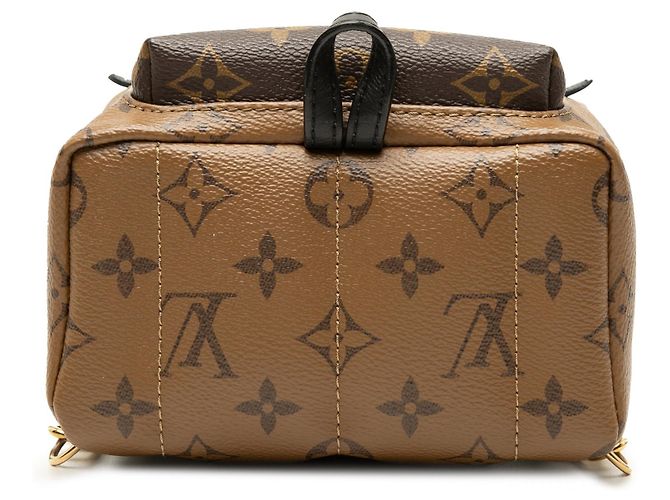 Zaino Louis Vuitton Monogram Reverse Mini Palm Springs marrone - vista 3