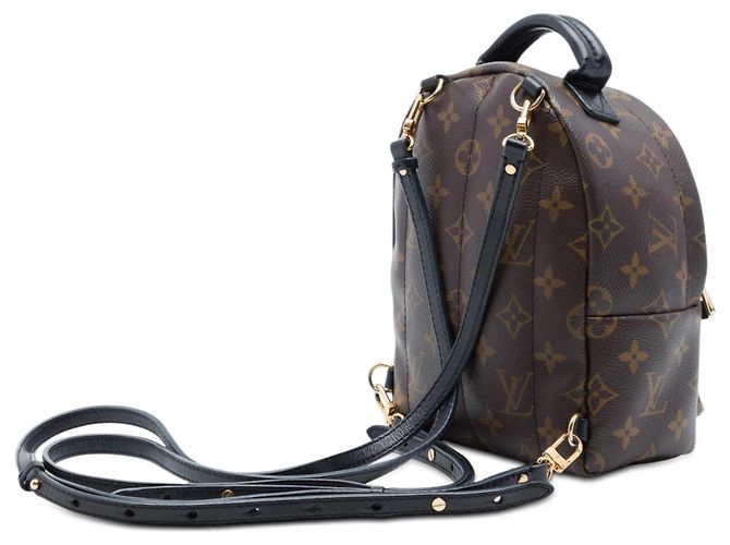 Zaino Louis Vuitton Monogram Mini Palm Springs marrone - vista 2