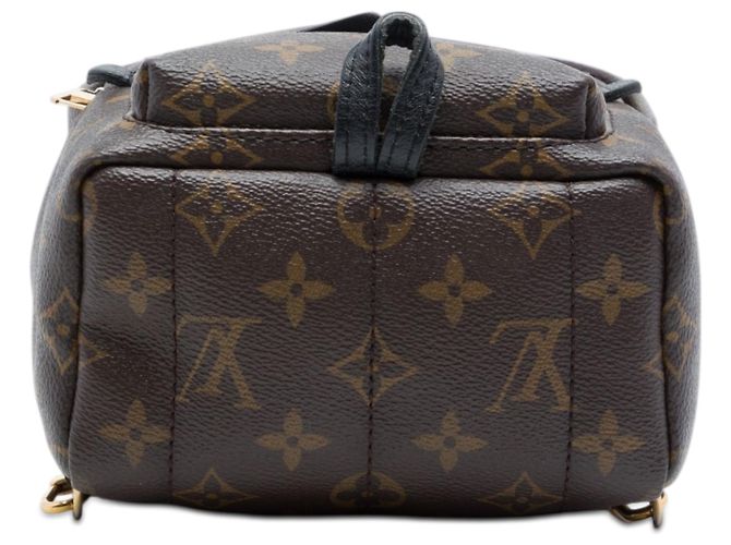 Zaino Louis Vuitton Monogram Mini Palm Springs marrone - vista 3