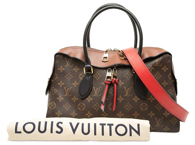 Borsa Louis Vuitton Monogram Tuileries marrone - vista 8