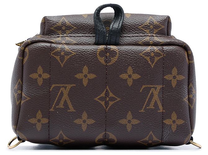 Zaino Louis Vuitton Monogram Mini Palm Springs marrone - vista 3