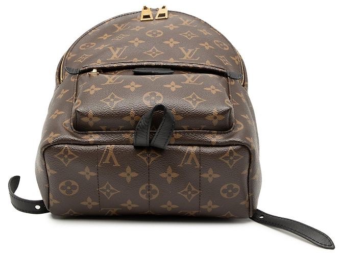 Zaino Louis Vuitton Monogram Palm Springs PM marrone - vista 3