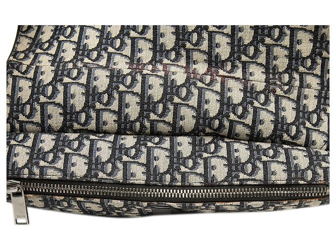 Borsa a tracolla Dior Alex Foxton Oblique Canvas blu - vista 8