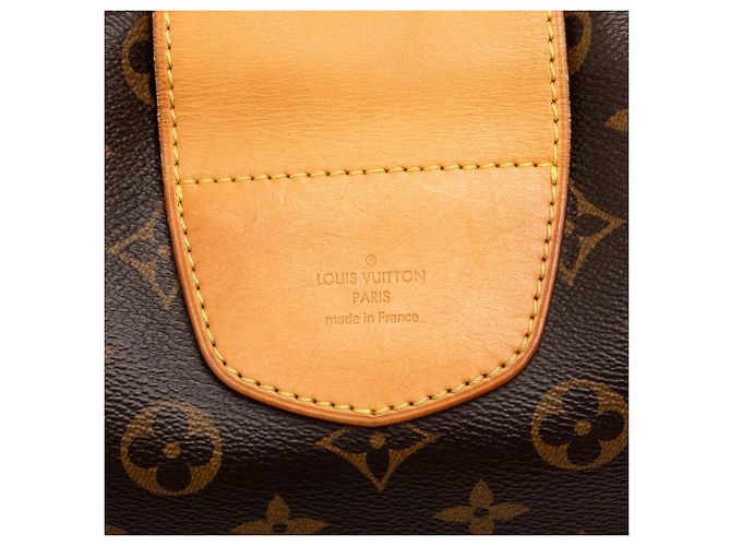 Borsa a tracolla Louis Vuitton Monogram Stresa PM marrone - vista 5