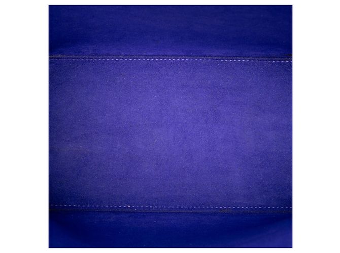 Borsa Tote Louis Vuitton Epi Neverfull PM viola Porpora - vista 4