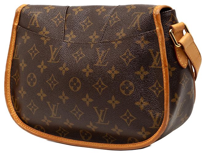 Borsa a tracolla Louis Vuitton Monogram Menilmontant PM marrone - vista 2