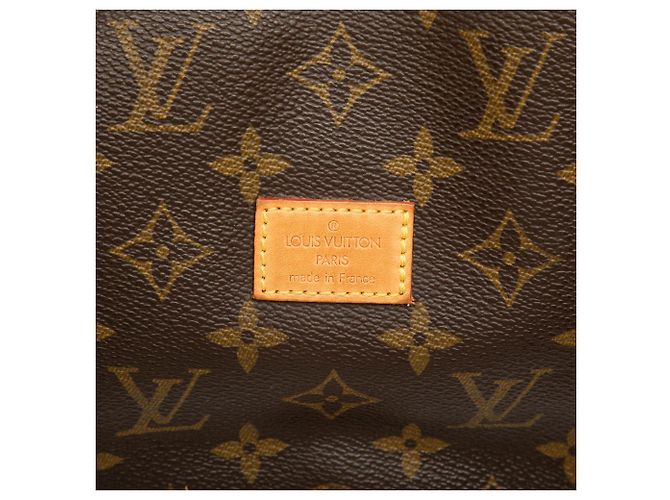 Borsa a tracolla Louis Vuitton Monogram Saumur 30 marrone - vista 6