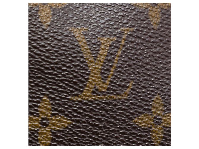 Borsa Boston Louis Vuitton Monogram Speedy 30 marrone - vista 5