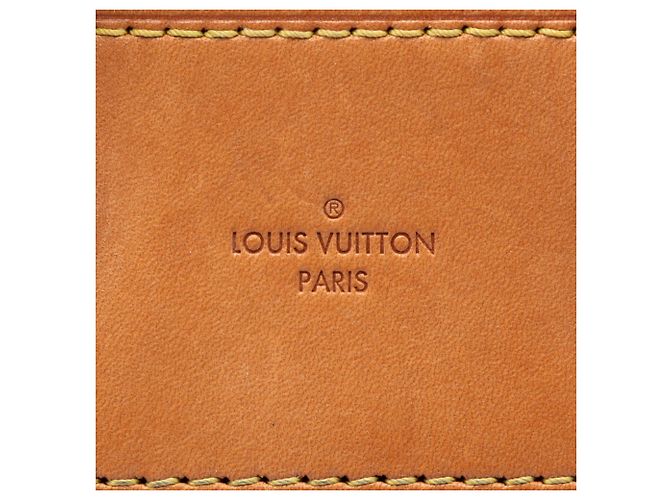 Borsa Louis Vuitton Monogram Eden PM blu - vista 5
