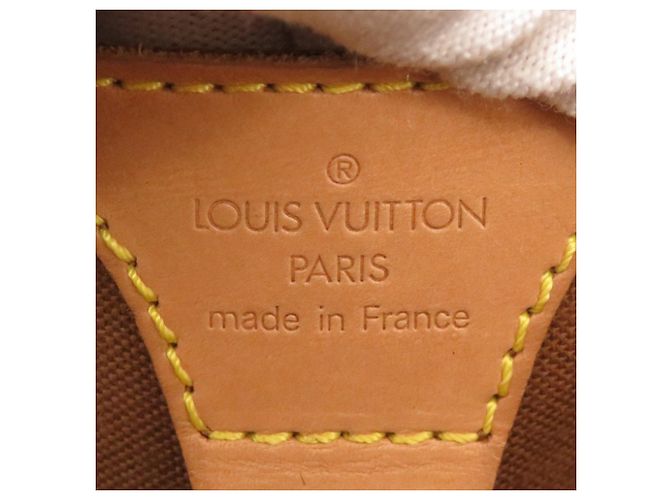 Borsa Louis Vuitton Monogram Ellipse PM marrone - vista 5