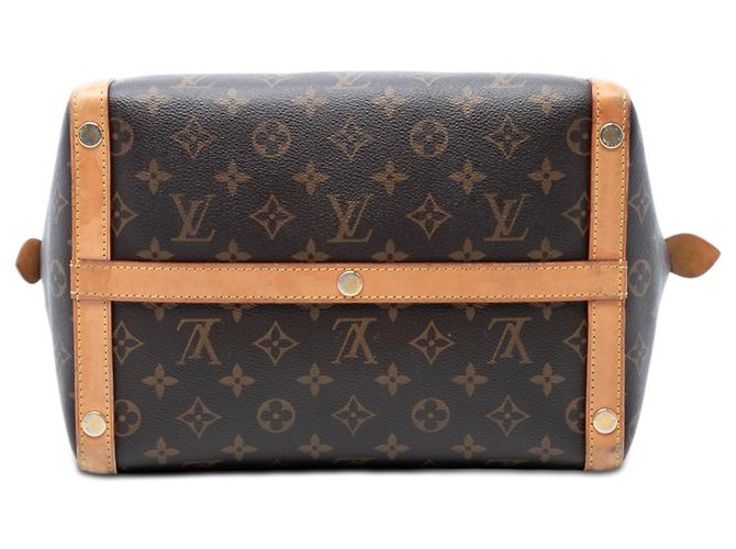 Borsa Louis Vuitton Monogram Marais MM marrone - vista 3