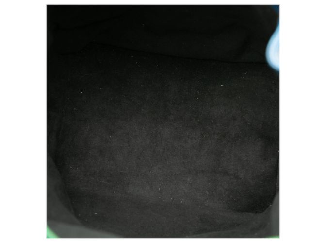 Borsa a secchiello Blue Louis Vuitton Epi Bicolor Noe GM - vista 4