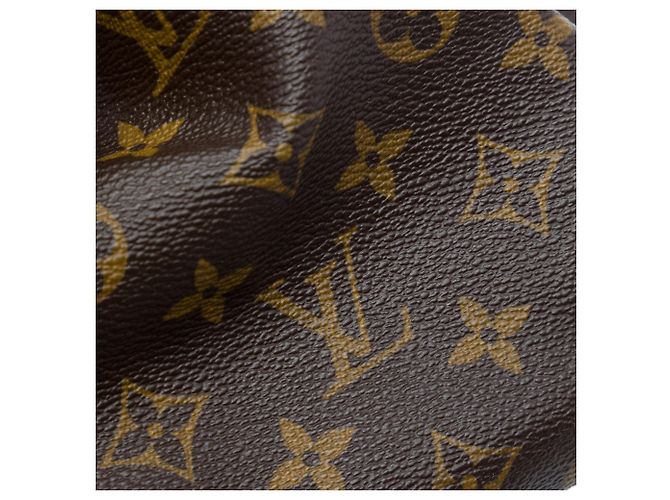 Twist Borsa Louis Vuitton Monogram Boetie PM marrone - vista 5