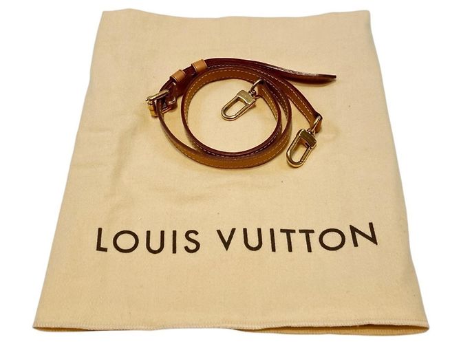 Borsa Louis Vuitton Blair MM Dune Giallo - vista 5