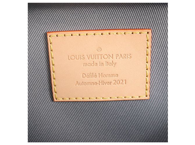 Borsa a tracolla Louis Vuitton Soft Trunk in tela Monogram argento M45885 Grigio - vista 10