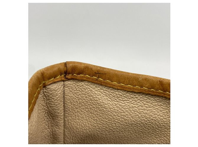 Borsa Tote Louis Vuitton Monogram Bucket GM Marrone - vista 10
