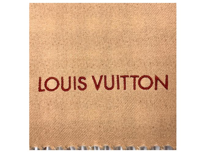 Louis Vuitton Modello 2024 Stole in Cashmere Marrone - vista 4