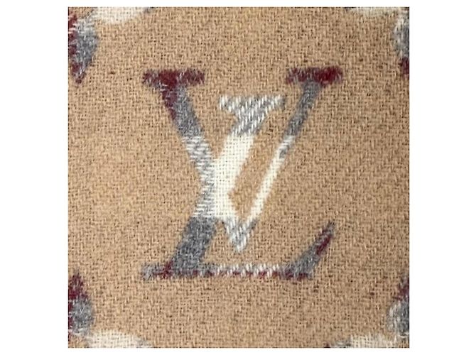 Louis Vuitton Modello 2024 Stole in Cashmere Marrone - vista 5