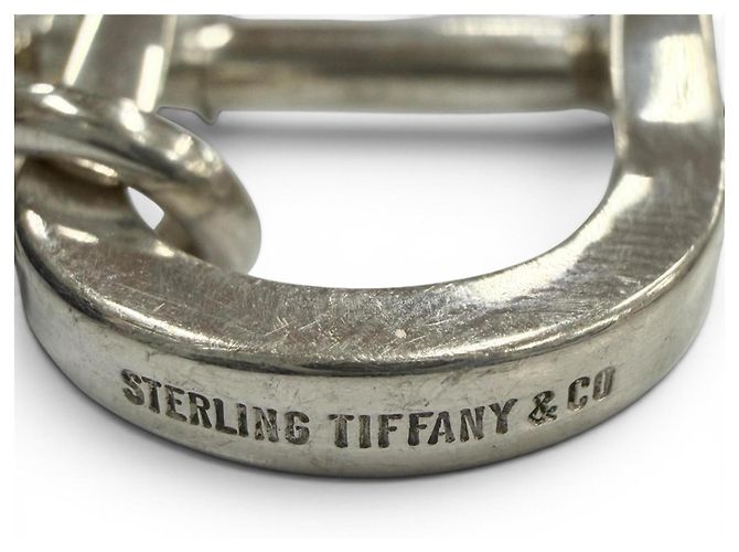 Tiffany & Co Tiffany Vintage Double Jackle Keyring Silvery - view 6
