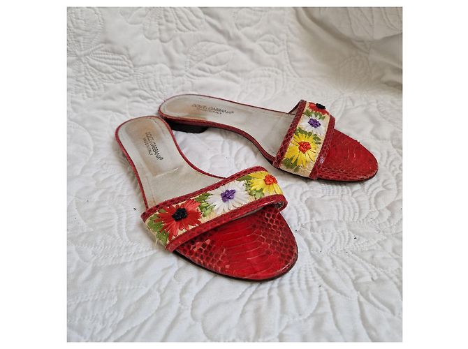 Mules Dolce & Gabbana en python rouge et fleurs Multicolore - vue 2