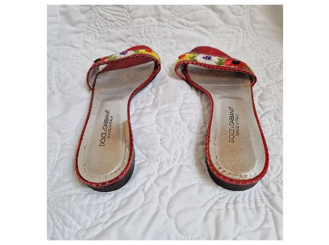 Mules Dolce & Gabbana en python rouge et fleurs Multicolore - vue 3