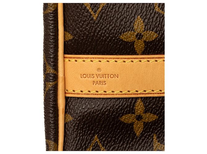 Louis Vuitton Brown Monogram Speedy Bandouliere 25 Marrone - vista 5
