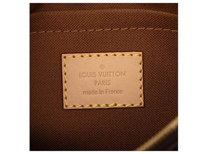 Louis Vuitton Brown Monogram Multi Pochette Accessoires Marrone - vista 5