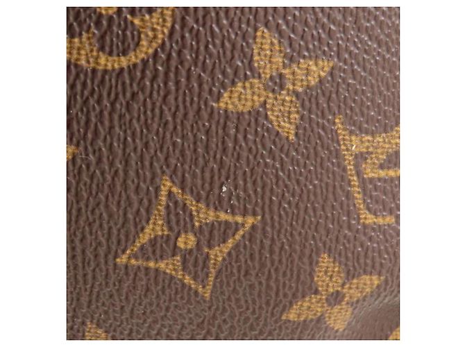 Louis Vuitton Brown Monogram Musette Salsa PM Long Strap Marrone - vista 18