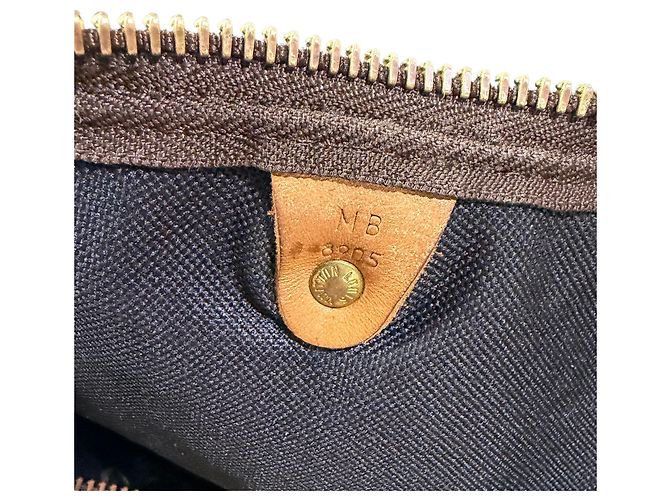 Borsa Louis Vuitton Keepall 50 Mona Lisa Arazzo Personalizzato Marrone Blu Multicolore - vista 14