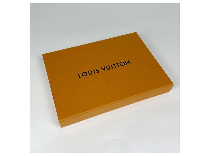 Sciarpa Louis Vuitton Reykjavik Monogram in cashmere Beige - vista 7