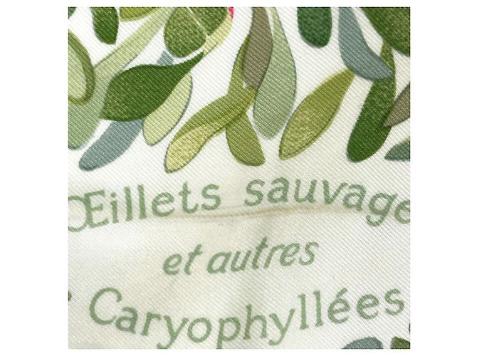 Hermès Foulard Hermes Carre 90 OEillets Sauvages Multicolore Verde chiaro - vista 4