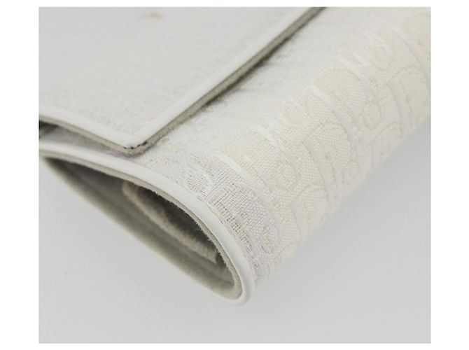 Christian Dior Trotter Canvas Roll Up Pouch White Silver Auth 192517A Silber Weiß - Ansicht 14