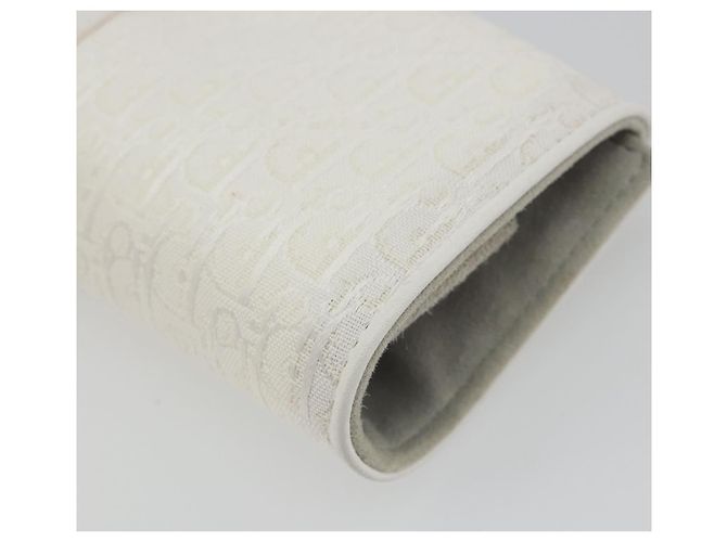 Christian Dior Trotter Canvas Roll Up Pouch White Silver Auth 192517A Silber Weiß - Ansicht 15