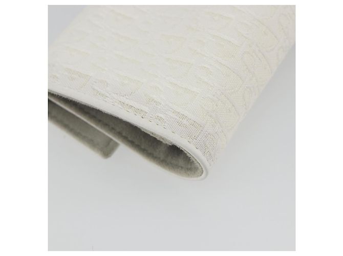 Christian Dior Trotter Canvas Roll Up Pouch White Silver Auth 192517A Silber Weiß - Ansicht 16