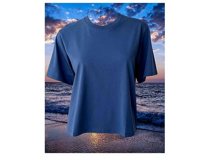 Autre Marque Loulou Studio Camiseta de algodón Telanto Azul - vista 14