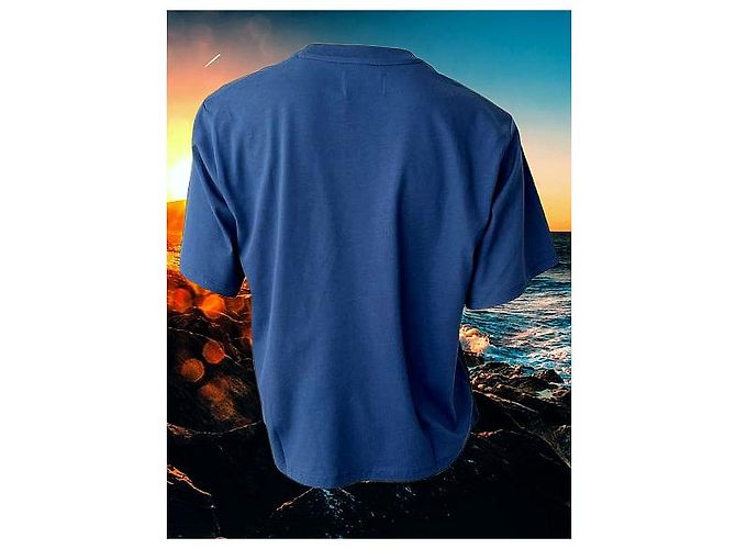 Autre Marque Loulou Studio Camiseta de algodón Telanto Azul - vista 15