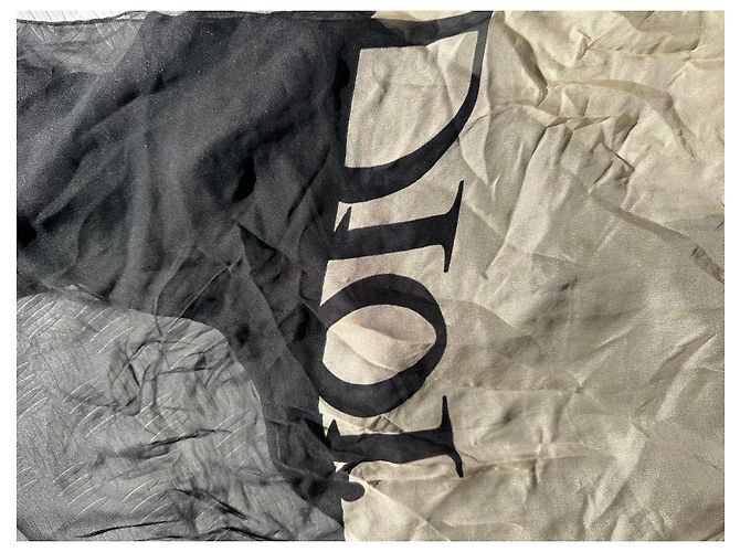Foulard in seta Dior Logo Nero e Beige - vista 2
